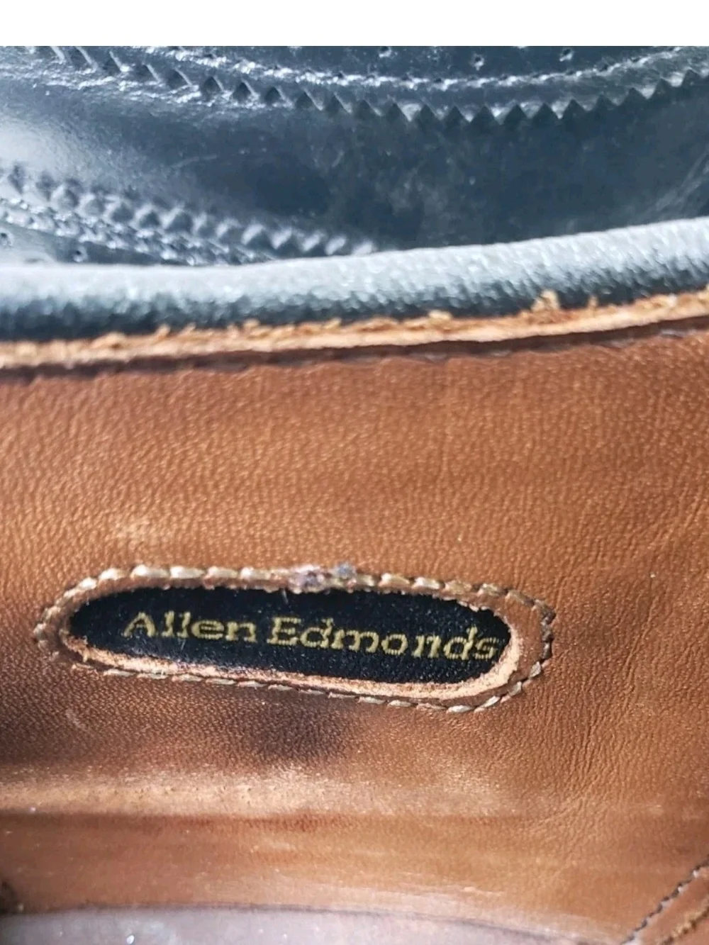 Allen Edmonds classic wingtip